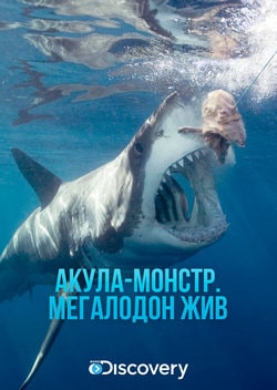Акула-монстр: Мегалодон жив